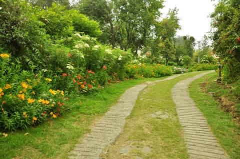 garden path